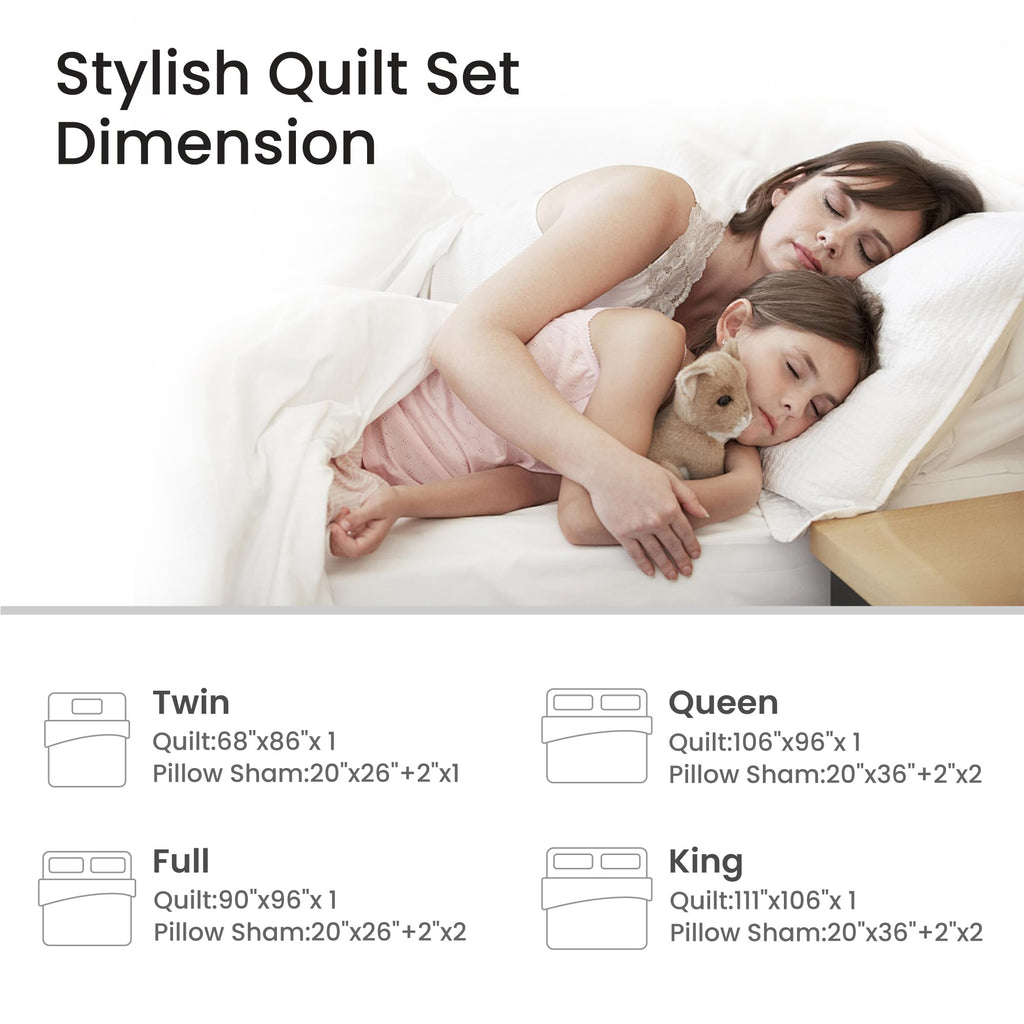 King, 3 PCS, Paisley Quilt Set, Brown Paisley