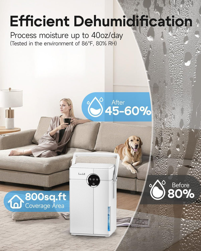 Small Dehumidifier with Drain Hose, Portable Dehumidifier for Bathroom