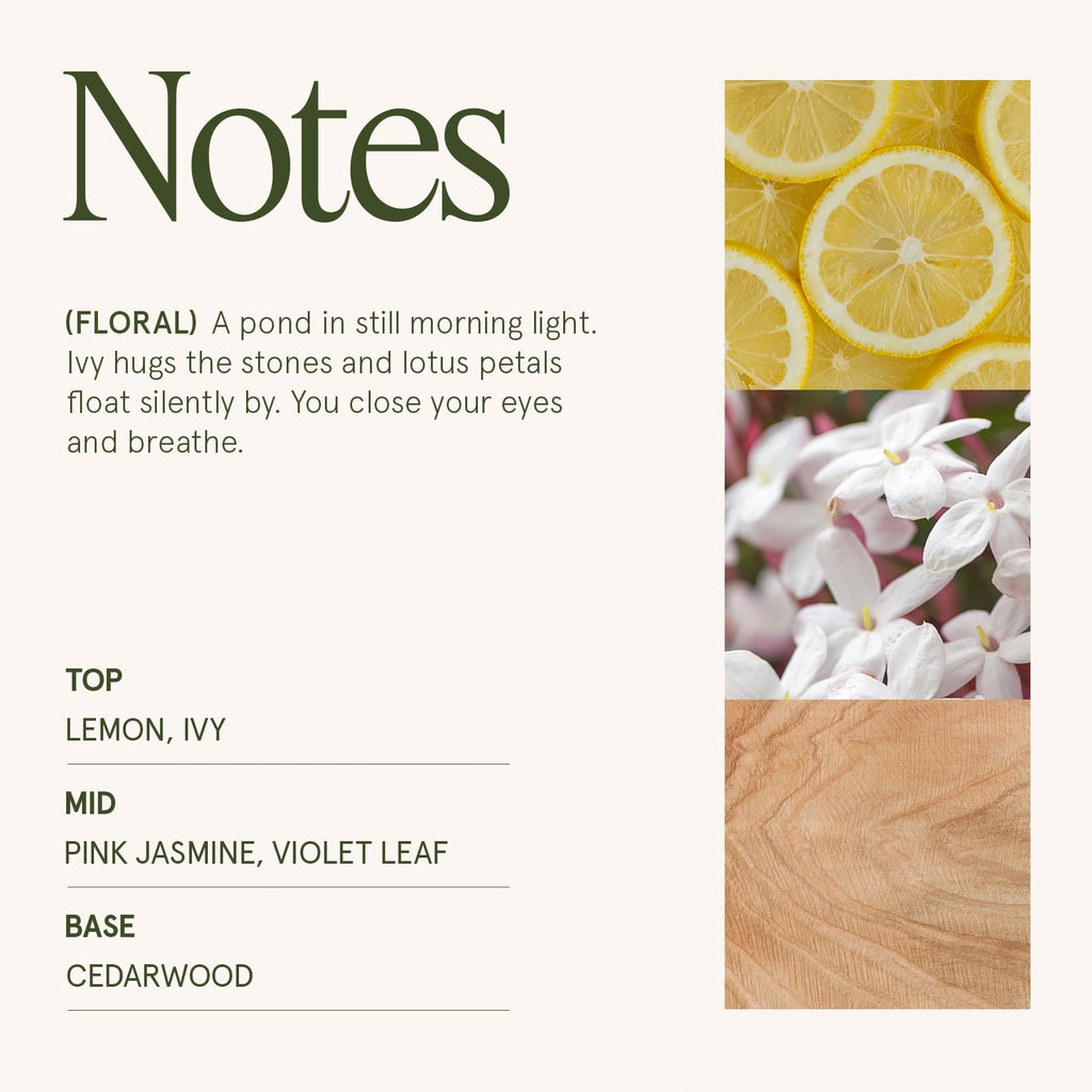 Jasmine Lotus Scented Candles, Natural Soy 2-Wick