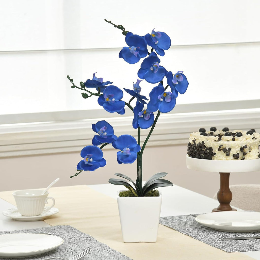 15" Silk Phalaenopsis Orchid in Square Pot, Navy Blue Flower Arrangements