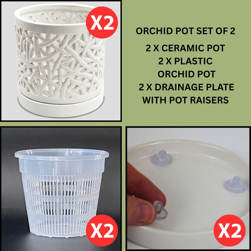 Set of 2 Large Ceramic Orchid Pots with Holes, 6 Inches Wide, for Indoors or Outdoors with Woven String Cut Out Design