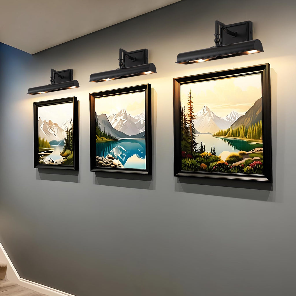 Picture Light for Wall, 12 Inch Black Wall Light Hardwired, 270° Rotatable, E12 Base, 2-Light Picture Frame Lights