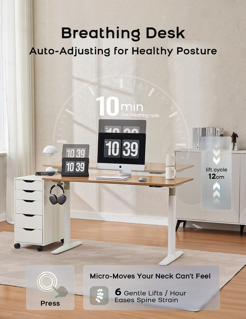 Electric Standing Desk, Height Adjustable Desk with Round Tube Legs, 48 x 24 Inches Memory Sit Stand up Desk, Home