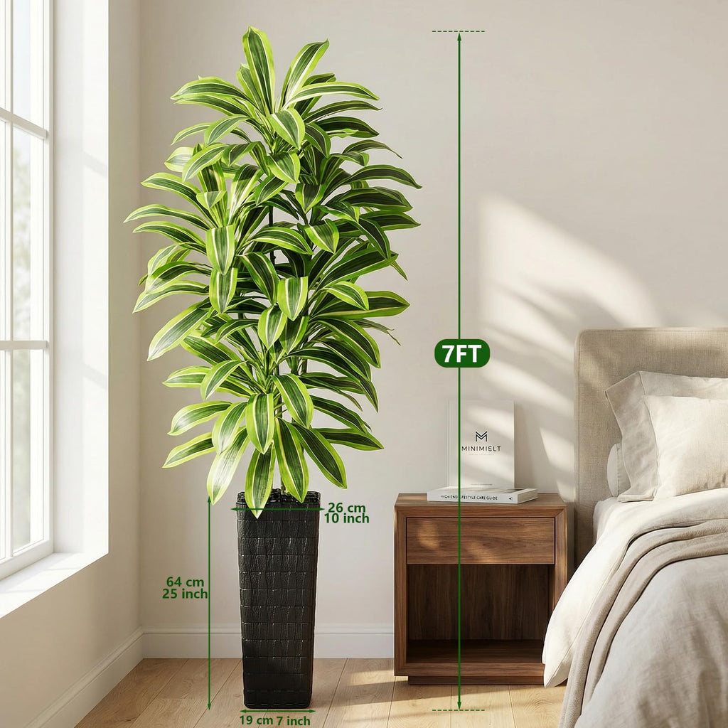 Artificial Dracaena Tree 7FT, Faux plants with Black Tall Planter