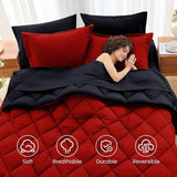 7 Pieces Queen Comforter Set, Reversible Bed in a Bag Queen, All Season Bedding Set with Comforter, Flat Sheet