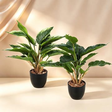 2 Pack Fake Plants 16" Artificial Dieffenbachia Plants Indoor, Faux Potted Plants for Outdoor Living Room Bathroom