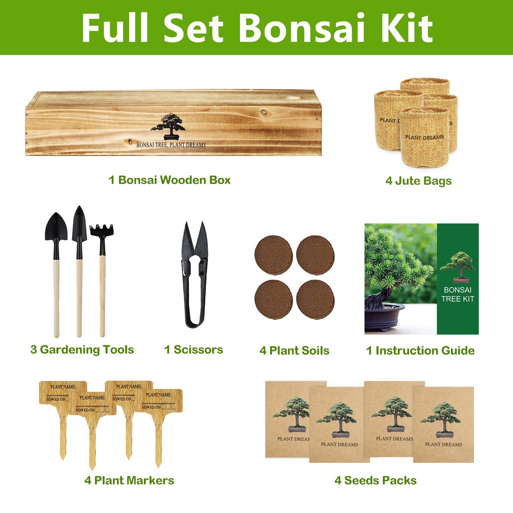 Bonsai Tree Kit, Bonsai Starter Kit with Seeds & Tools, Tree Live Plants Indoor, Gardening Gifts for Women Men Mom