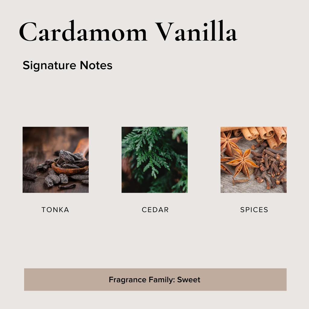 Top Cardamom Vanilla Soy Candle, Tonka Cedar Spices, 9 oz