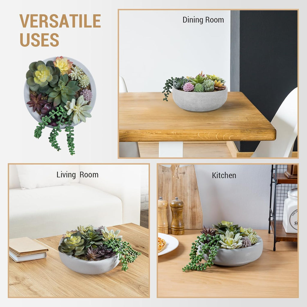8 Inch Round Artificial Succulent Plants in Gray Concrete Plant Bowl | Indoor Decorative Greenery, Assorted Faux Mini