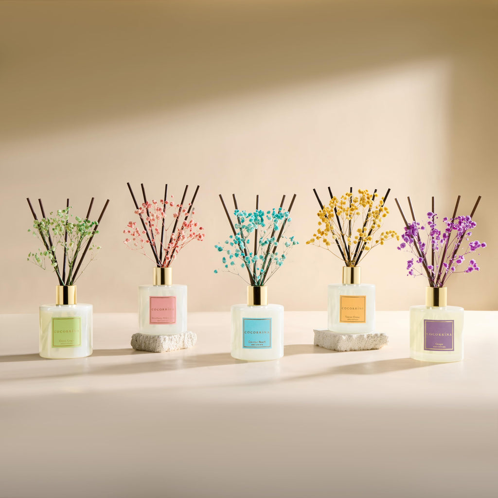 Reed Diffuser - Coconut Beach 6.7 fl oz Reed Diffuser with Sticks, Home Bedrrom Bathroom Shelf Decor