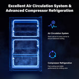 33 Bottle Dual Zone Wine Cooler Refrigerator, 41°F-64°F Freestanding Compressor 