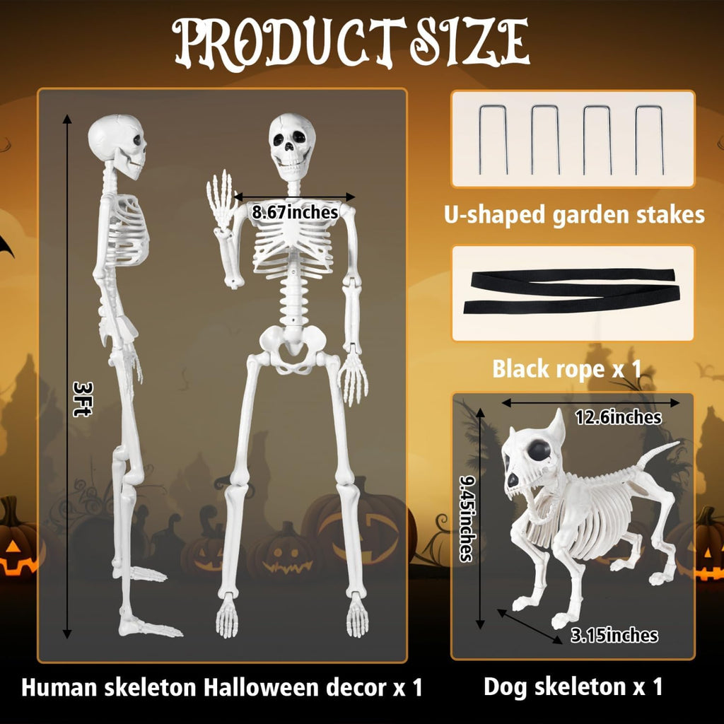 FT Human Skeleton Halloween Decor with Dog Skeleton, Posable Skeletons Decoration with Movable Joints, Full Body - Set of 2