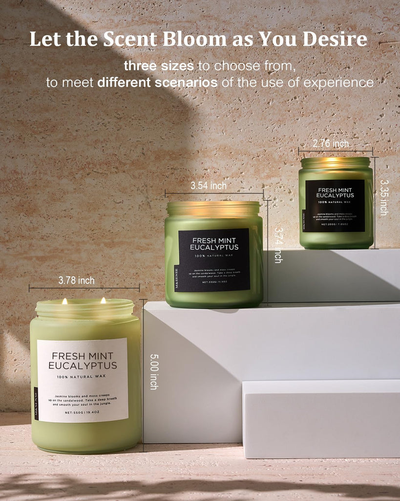 Eucalyptus & Mint Scented Jar Candle, Large 19.4oz Natural Soy Wax