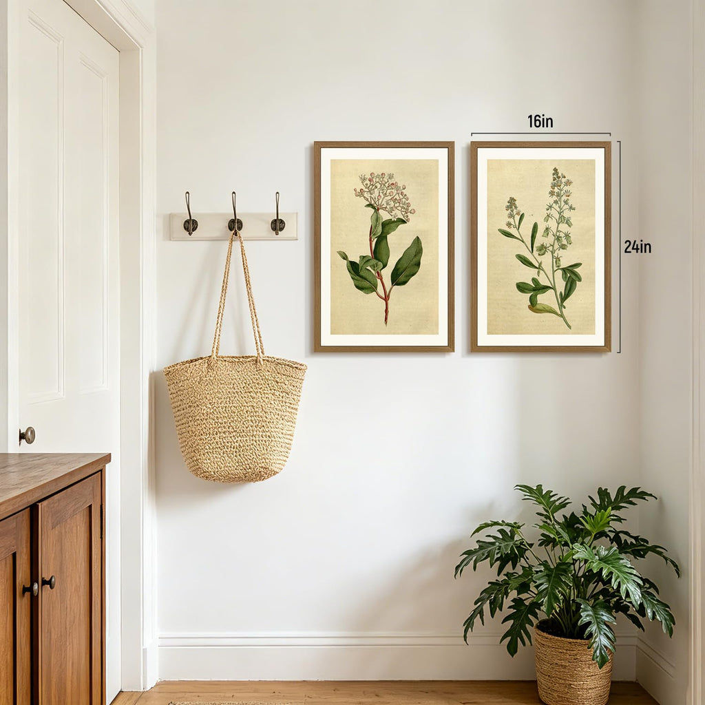 Wood Framed Vintage Botanical Wall Art Set of 3, Classic Herbarium Plant Prints, Green Botanical Illustration Wall