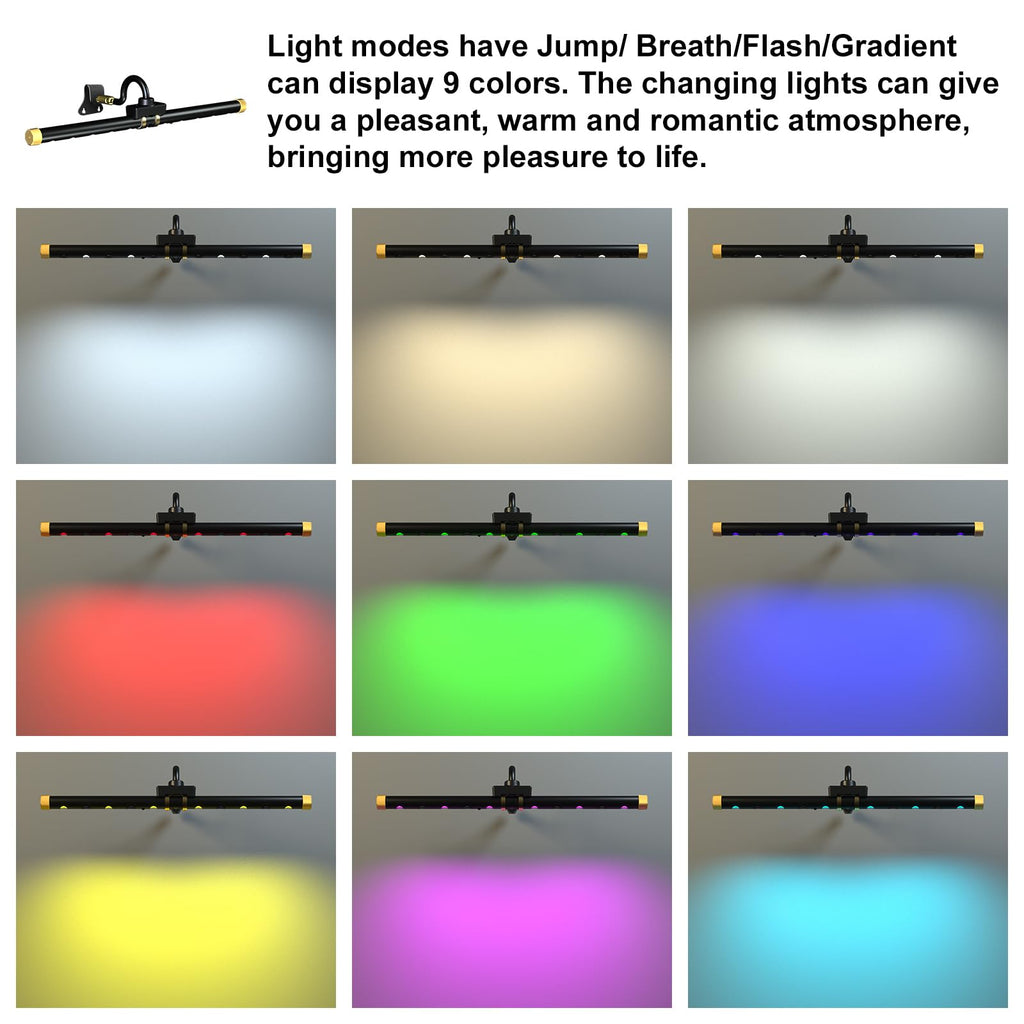 Picture Light with Remote, Led Accent Light Painting Plug in, Magnetic Art Lighting Rotatable, Dart Board Light RGB