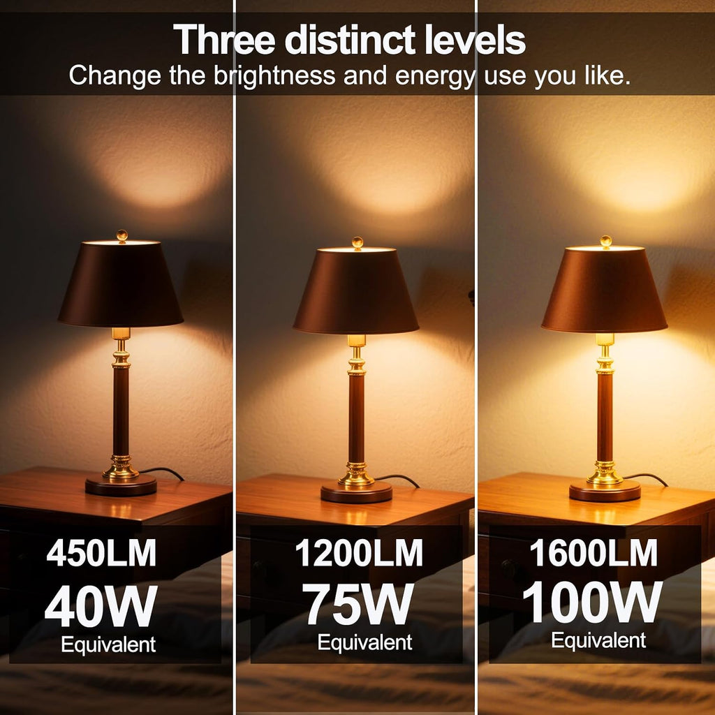Energetic 3 Way LED Light Bulbs 2 Pack, A19 40 75 100W Soft White 2700K