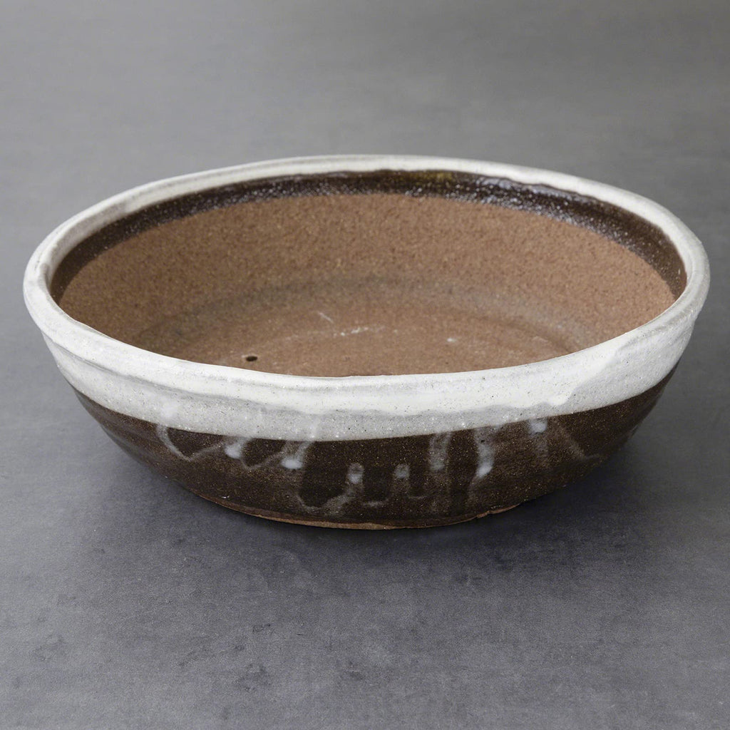 Shigaraki Bonsai Pot 8.3in, Handmade Japanese Pot, White Stripe