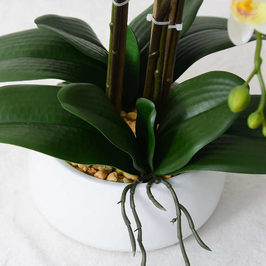 Artificial Orchid Flowers & Plants Potted in Ceramic Pot, White Faux Phalaenopsis Orchids for Table Centerpiece