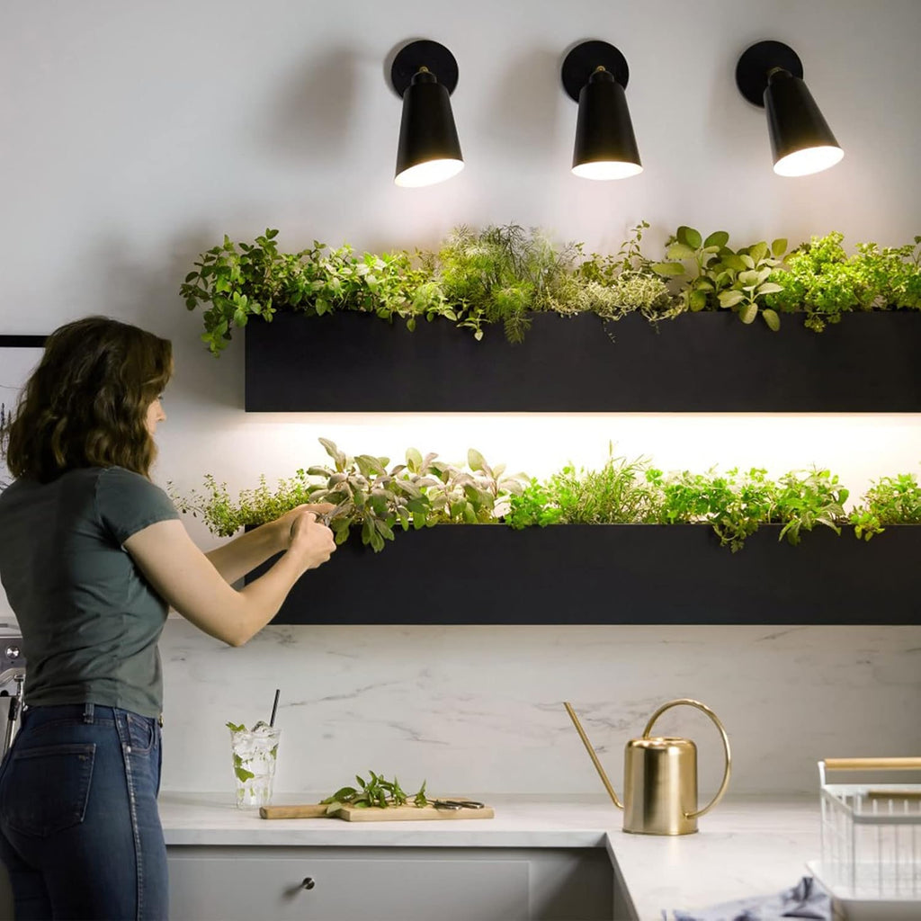 LED Grow Light Bulb & 3 Hanging Grow Light