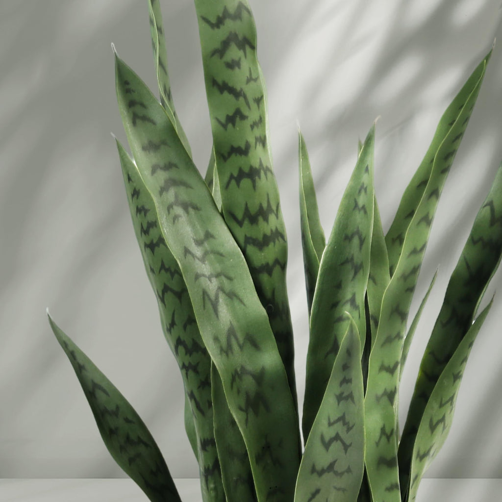 3ft Artificial Sansevieria Trifasciata Prain, Tropical Faux Snake Plant, Fake Mother in Law Tongue Plants, Greenery