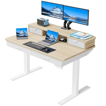 48 x 30 inch Electric Standing Desk with 2 Wood Drawers, Adjustable Height Sit Stand Desk, Ergonomic Stand up Desk