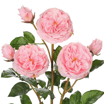 Real Touch Artificial Roses (Set of 3) - 23.6" Long Stem Pink Garden Roses - Lifelike Faux Silk Flowers for Wedding