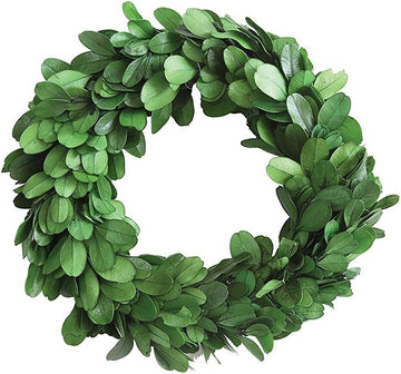 6-Inch Preserved Genuine Boxwood Wreath, Green