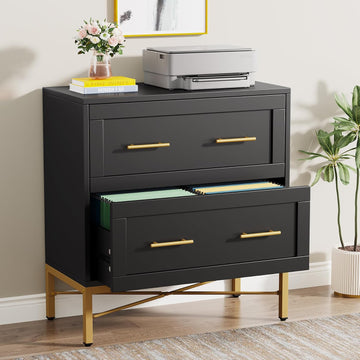 2 Drawer File Cabinet, Modern Wood Lateral Filing Cabinet for Letter/Legal/A4 Size, Large File Storage Cabinets