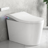 Eridanus One Piece Smart Toilet with Bidet Built in, Electric Bidets with Warm Water Sprayer and Air Dryer