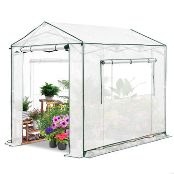 8x6 Pop Up Walk in Greenhouse, Easy Setup, Gable Roof, White