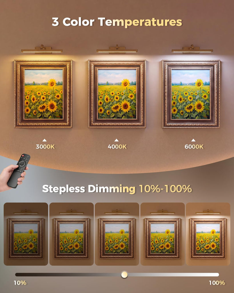 Battery Operated Picture Light for Wall, LED Art Light