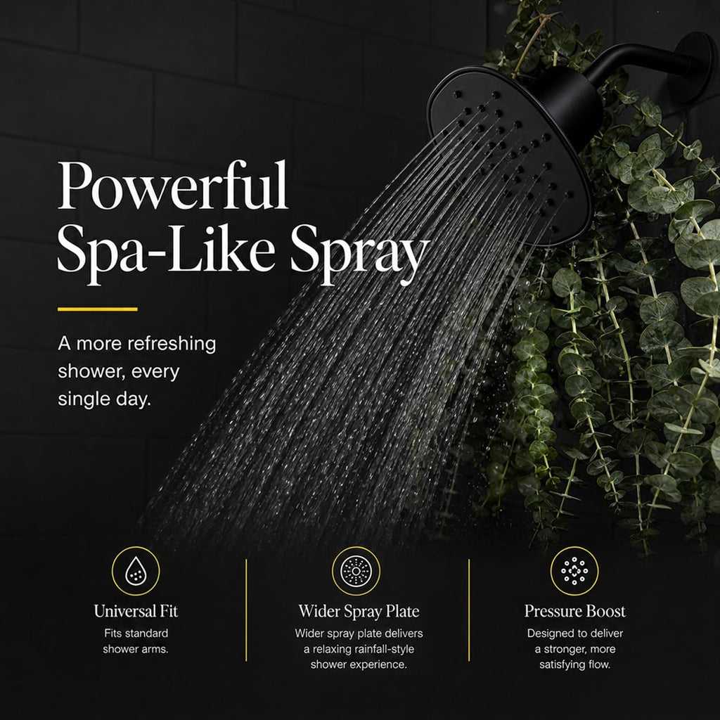 Filtered Shower Head, High Pressure Rainfall (Chrome)