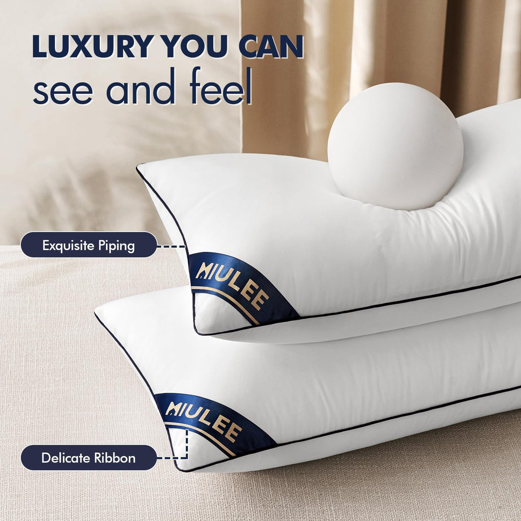 20x20 Pillow Inserts 2 Pack, Premium Down Alternative Throw Pillows - Set of 2