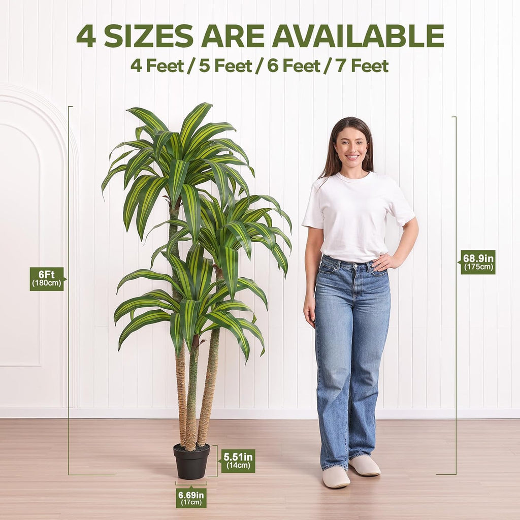 6ft Artificial Dracaena Tree with Natural Trunk