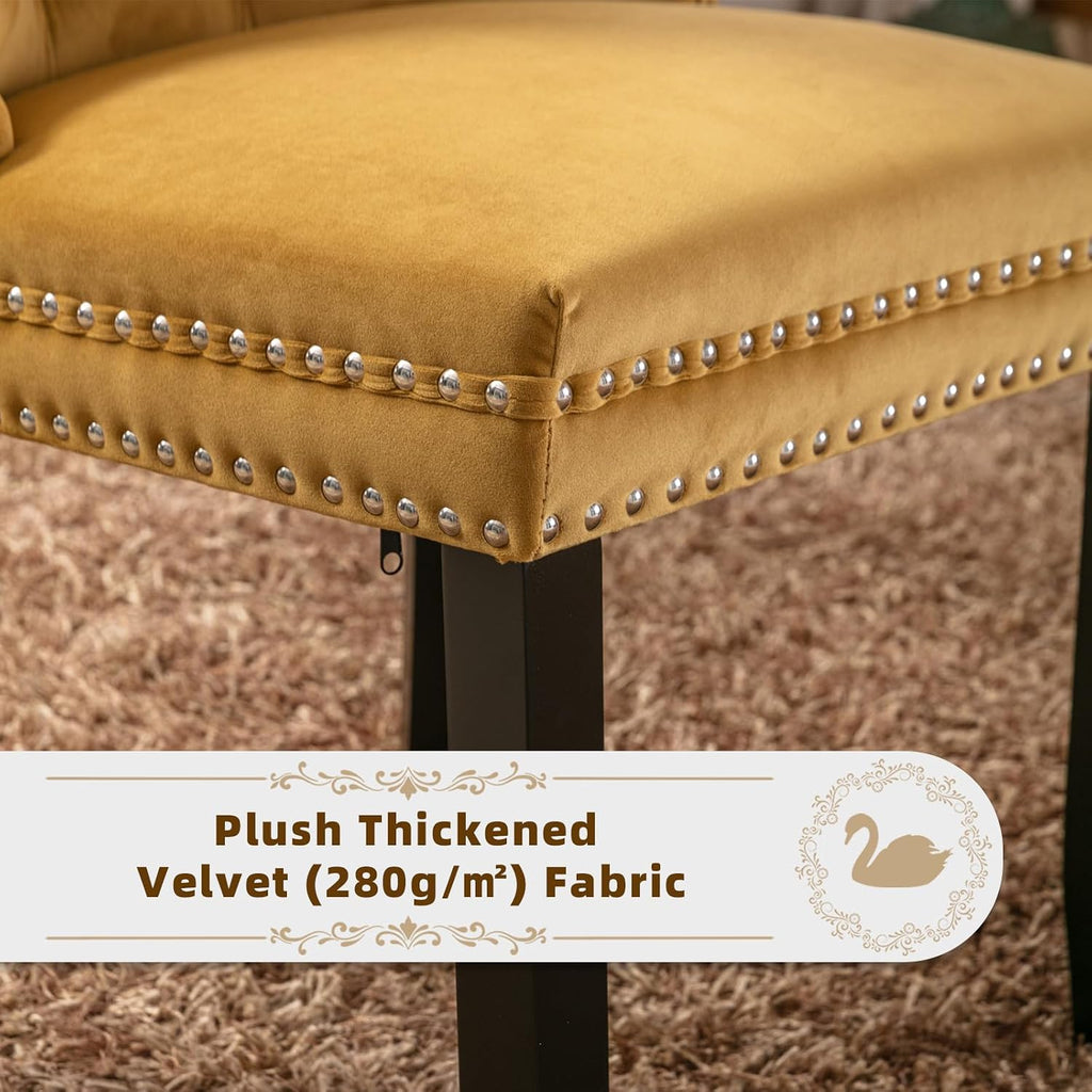 Velvet Upholstered Dining Chairs Set of 2, Modern Style Kitchen Side Chairs with Nailhead Trim and Wood Legs,Metal
