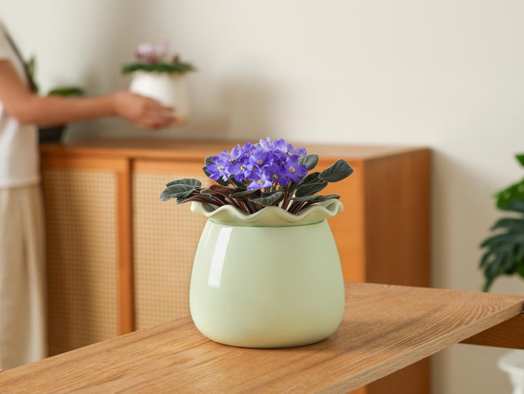 Self Watering Plant Pot, 6 Inch African Violet Pots Maintenance, Ceramic Self-Watering Planter for Indoor Plants