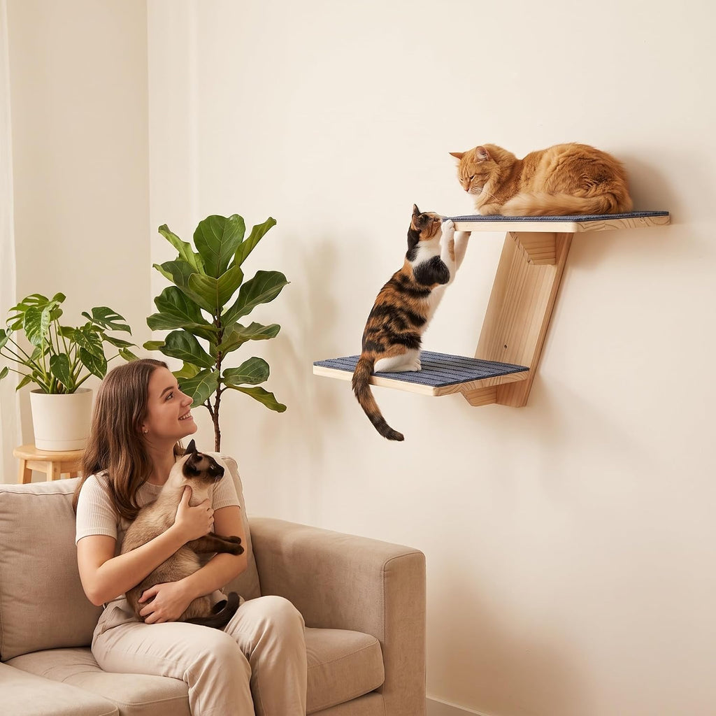 Large Cat Wall Shelves, Solid Wood Wall Mounted Cat Climbing Perch
