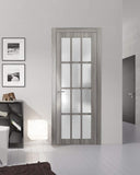 Slab Barn Door Panel Frosted Glass 12 Lites | Felicia 3312 Ginger Ash Grey | Sturdy Finished Doors |