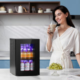 18L Beverage Refrigerator Cooler 24Can, Mini Fridge with Quiet Compressor, LED L