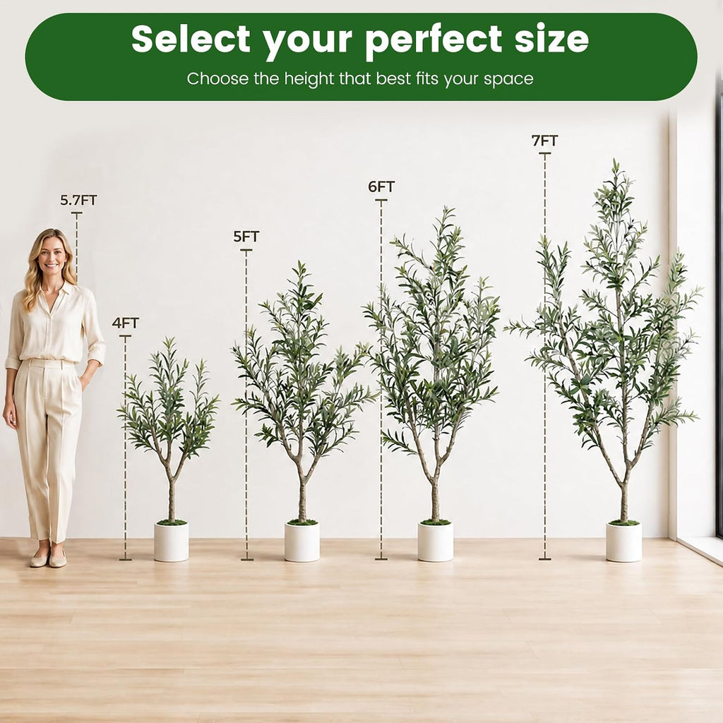 Olive Trees Artificial Indoor, 6ft Tall Olive Tree with White Planter, Faux olive tree with Natural Wood Trunk &