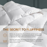 Goose Down Comforter Queen, All Season Duvet Insert, 100% Cotton Shell, 750+ Fill Power, 3D Baffle B
