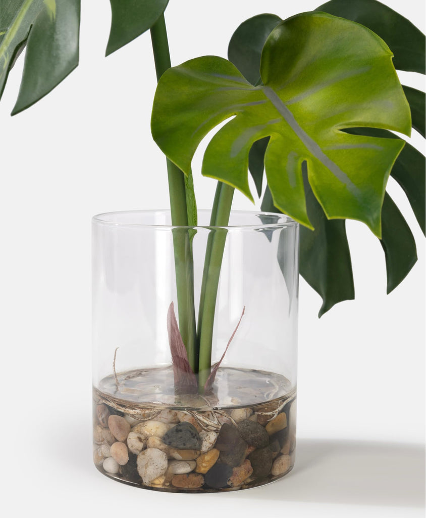 Realistic Artificial Plant in Clear Pot with Artificial Water, Broad Monstera Leaves. Faux Plants Indoor and Outdoor.