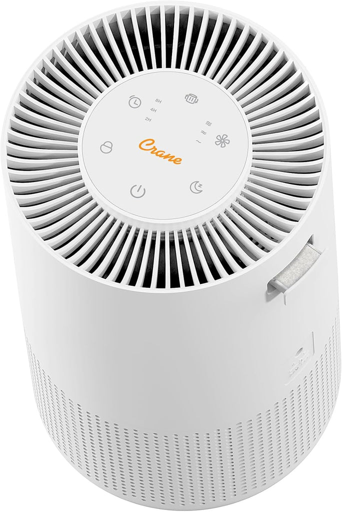 True HEPA Air Purifiers for Home, Up To 250 Sq Ft, Air Purifiers For Bedroom, and Office, Removes Du