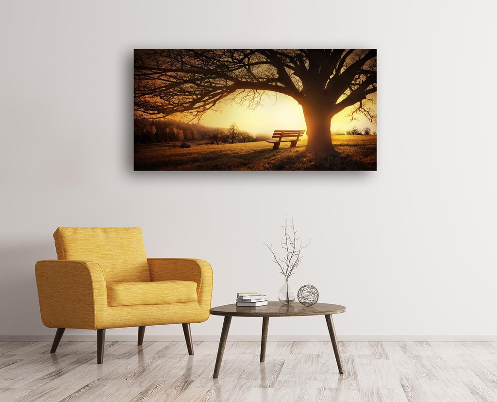 Wall Art Decor Canvas Print Picture Big Trees in Sunset 1 Panel Golden Sunset Forest Natural Landscape Painting