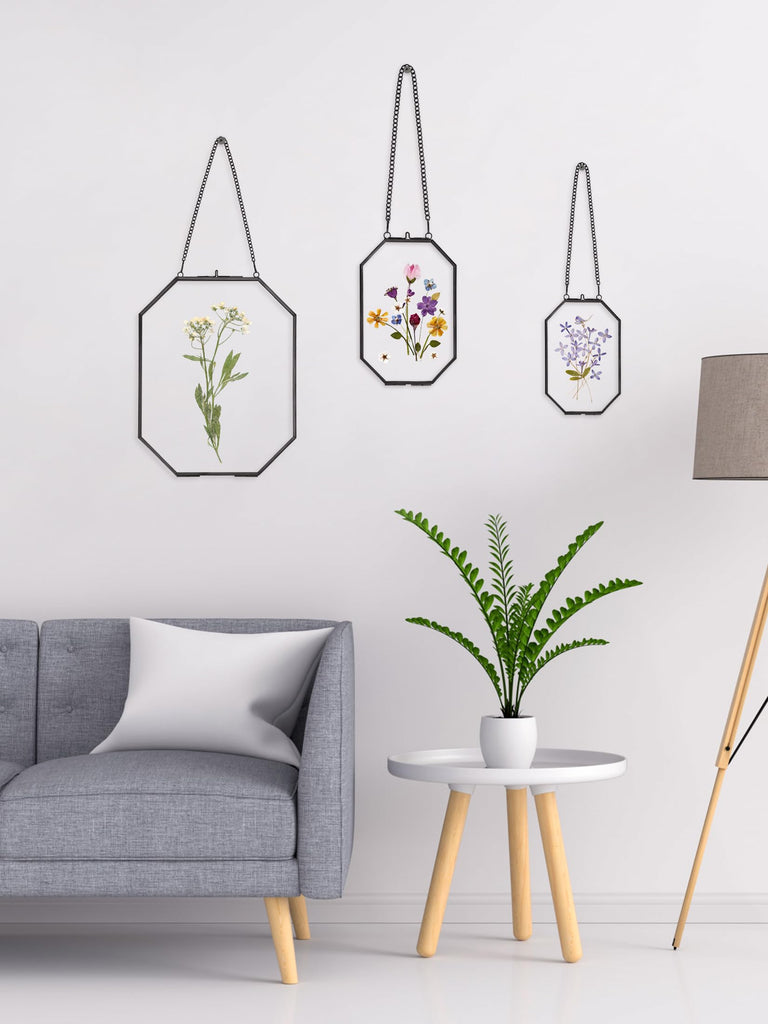 Pressed Flower Frames, Glass Floating Frames for Display Dried Plant Specimen Picture, Hanging Brass Photo Frame with