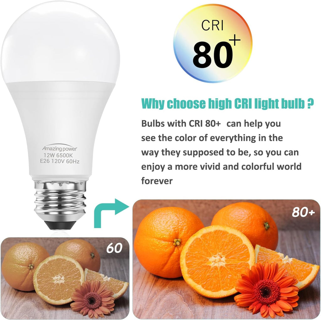 100W Equivalent E26 LED Bulbs, Daylight White 6500K