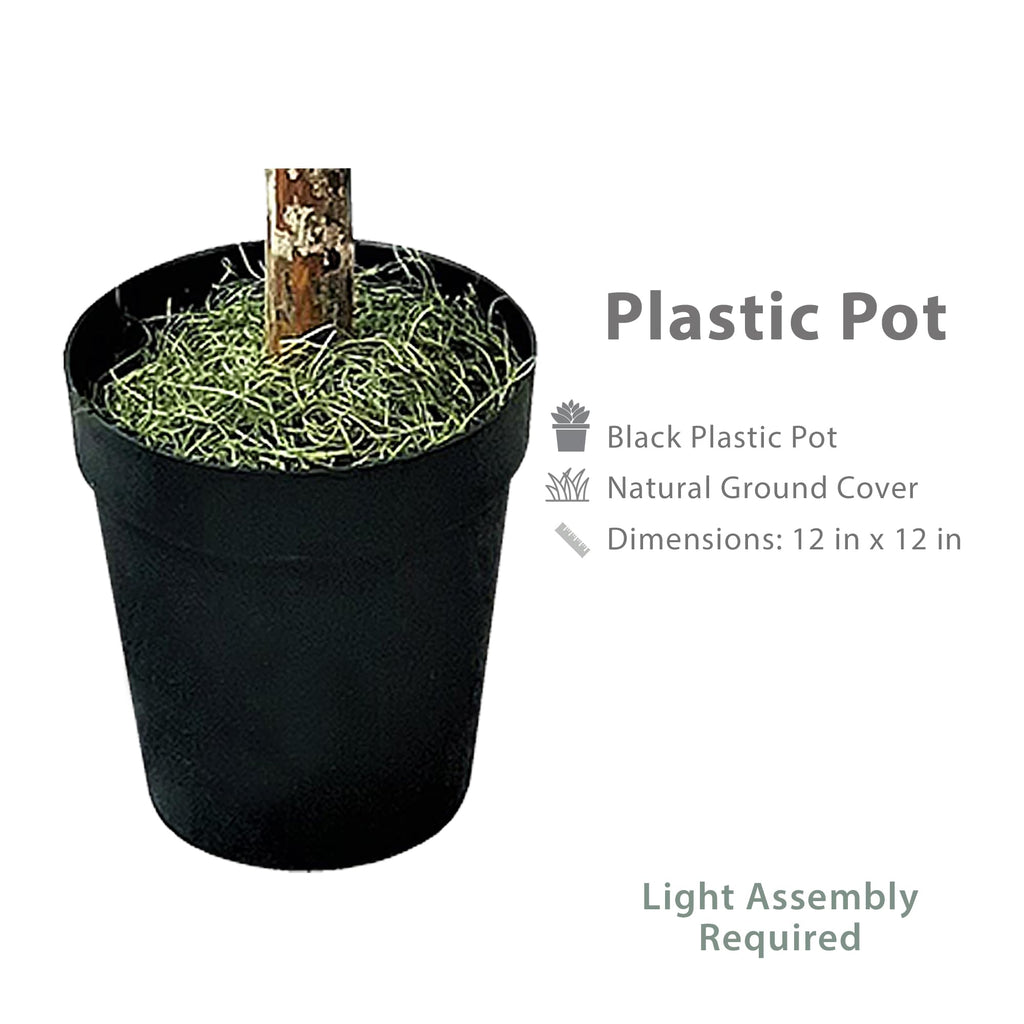 8ft Artificial Ficus Tree in Black Plastic Pot - Real Wood Trunk, No Maintenance Indoor Faux Plant - Living Room