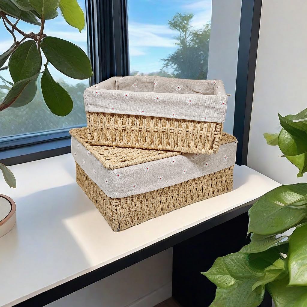 GIB Small Wicker Storage Baskets with Lid/Liner Woven Cute Decorative Boxes | Boho Paper Rope Baskets for Shelves