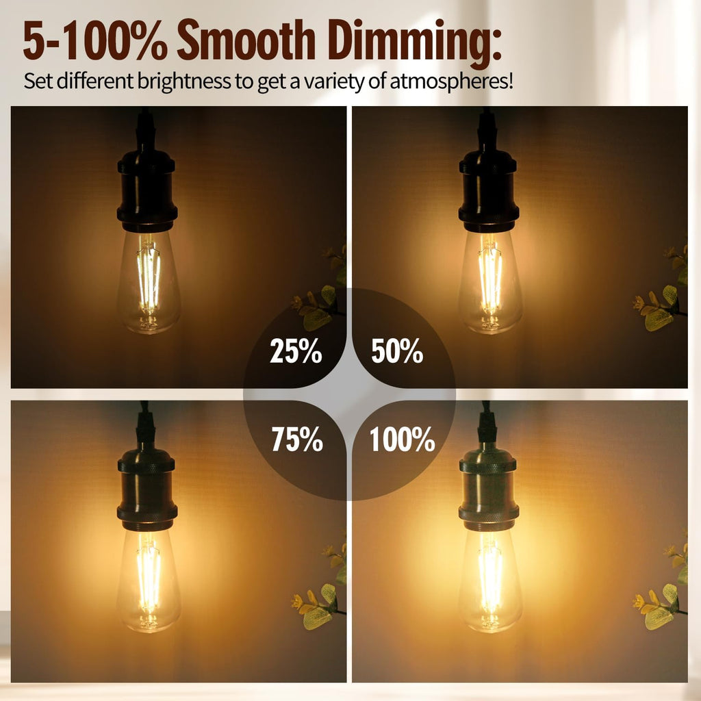 12 Pack ST58 Dimmable Vintage LED Edison Bulbs, 2700K Soft White
