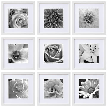 Picture Frames Set of 9, 12x12 in, Acrylic Cover, White